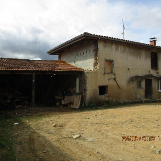   CHAUVET IMMOBILIER : Domaines / Propriétés | SAINT-JUST-LA-PENDUE (42540) | 90 m2 | 168 000 € 