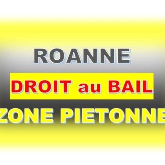   CHAUVET IMMOBILIER : Office | ROANNE (42300) | 55 m2 | 89 000 € 