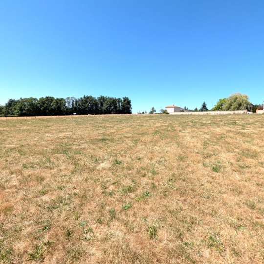   CHAUVET IMMOBILIER : Terrain | PRADINES (42630) | 0 m2 | 70 000 € 