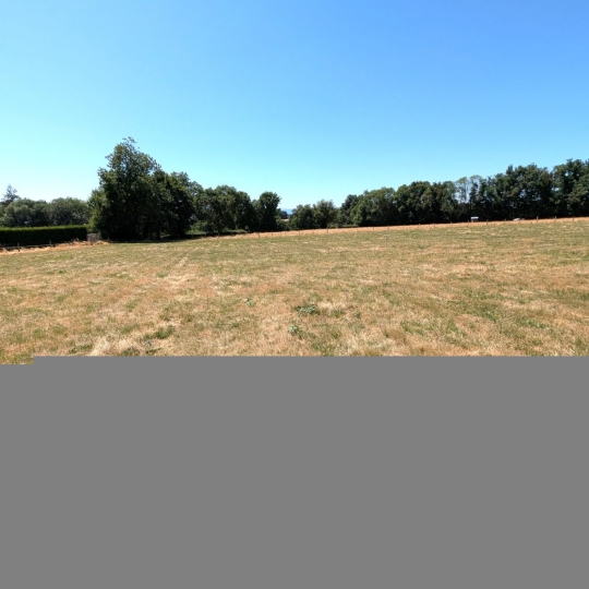   CHAUVET IMMOBILIER : Terrain | PRADINES (42630) | 0 m2 | 70 000 € 