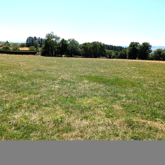   CHAUVET IMMOBILIER : Terrain | PRADINES (42630) | 0 m2 | 70 000 € 