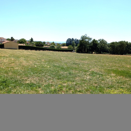   CHAUVET IMMOBILIER : Terrain | PRADINES (42630) | 0 m2 | 70 000 € 