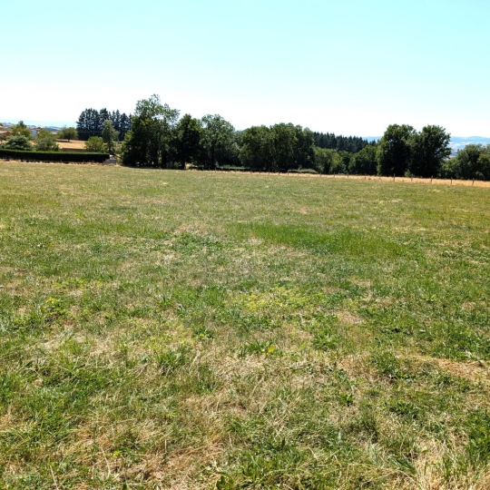   CHAUVET IMMOBILIER : Terrain | PRADINES (42630) | 0 m2 | 75 000 &euro; 