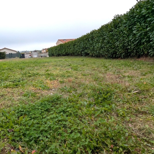   CHAUVET IMMOBILIER : Ground | BALBIGNY (42510) | 0 m2 | 50 000 € 