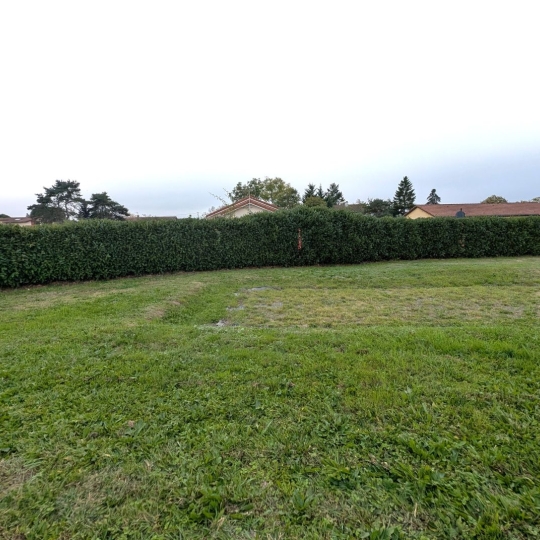   CHAUVET IMMOBILIER : Ground | BALBIGNY (42510) | 0 m2 | 50 000 € 