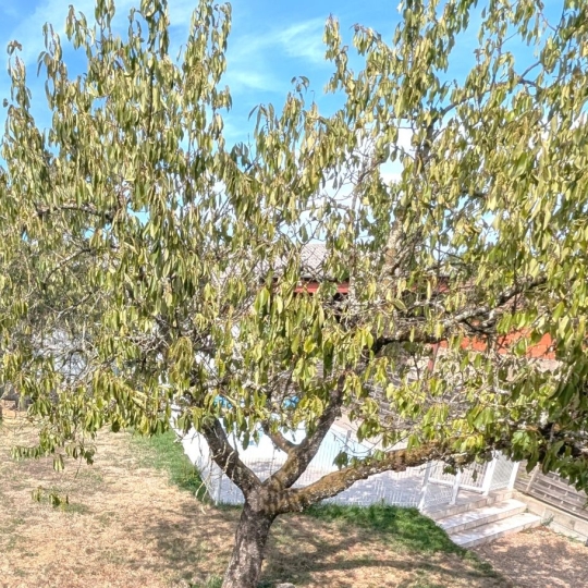   CHAUVET IMMOBILIER : Maison / Villa | MELAY (71340) | 155 m2 | 175 000 &euro; 