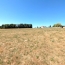   CHAUVET IMMOBILIER : Terrain | PRADINES (42630) | 0 m2 | 70 000 € 