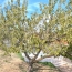  CHAUVET IMMOBILIER : Maison / Villa | MELAY (71340) | 155 m2 | 175 000 &euro; 
