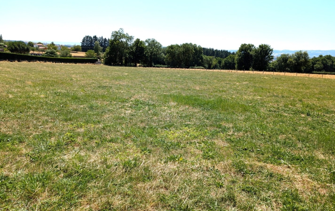  CHAUVET IMMOBILIER : Terrain | PRADINES (42630) | 0 m2 | 75 000 &euro; 