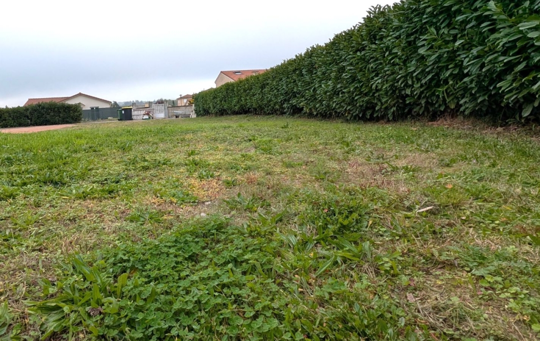  CHAUVET IMMOBILIER : Ground | BALBIGNY (42510) | 0 m2 | 50 000 € 