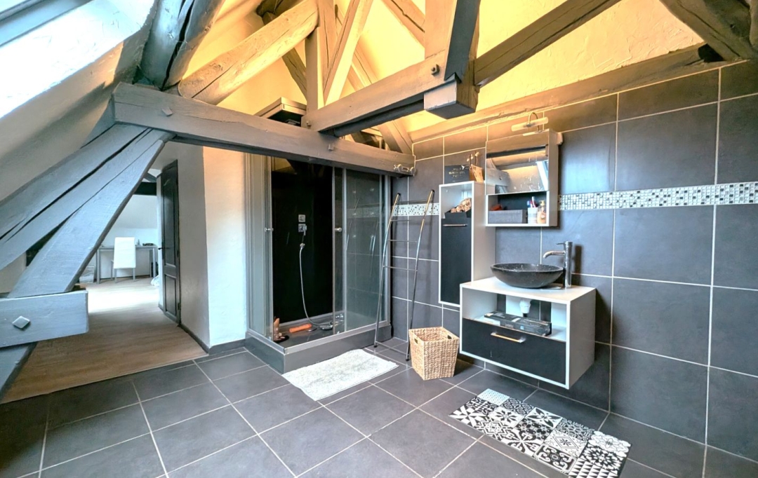  CHAUVET IMMOBILIER : Maison / Villa | SAINT-LEGER-SUR-ROANNE (42155) | 310 m2 | 330 000 &euro; 