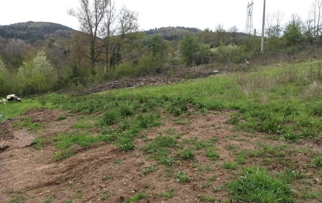  CHAUVET IMMOBILIER : Terrain | LE CHAMBON-FEUGEROLLES (42500) | 0 m2 | 89 000 &euro; 
