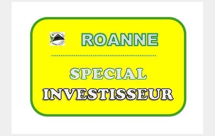   CHAUVET IMMOBILIER Autres | ROANNE (42300) | 300 m2 | 159 000 € 
