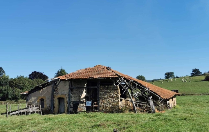 Maison SAINT-NIZIER-SOUS-CHARLIEU 250 m2 89 000 € Maison SAINT-NIZIER-SOUS-CHARLIEU 250 m2 89 000 €