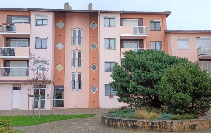   CHAUVET IMMOBILIER Appartement | RIORGES (42153) | 80 m2 | 127 000 € 