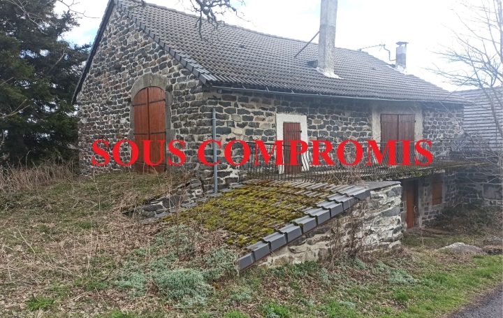   CHAUVET IMMOBILIER House | ARAULES (43200) | 106 m2 | 129 000 € 