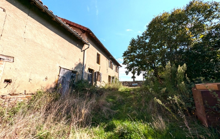   CHAUVET IMMOBILIER Maison / Villa | VIVANS (42310) | 150 m2 | 49 000 € 