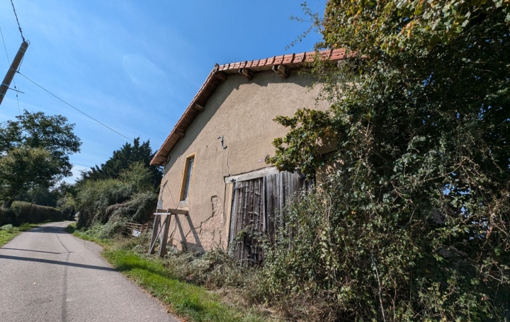   CHAUVET IMMOBILIER House | VIVANS (42310) | 0 m2 | 79 000 € 