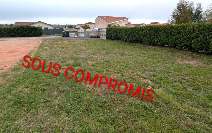   CHAUVET IMMOBILIER Terrain | BALBIGNY (42510) | 0 m2 | 50 000 € 
